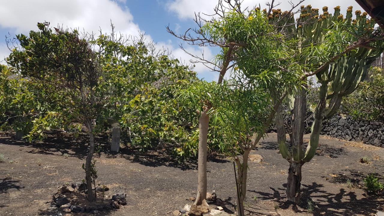Finca Relax, Sea View, Oasis Vasiliko, La Asomada تياس المظهر الخارجي الصورة