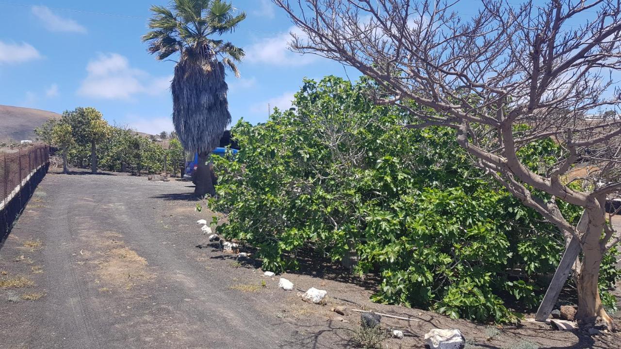 Finca Relax, Sea View, Oasis Vasiliko, La Asomada تياس المظهر الخارجي الصورة