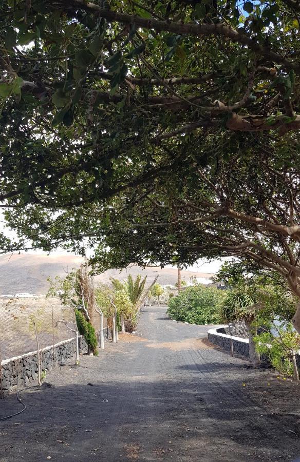 Finca Relax, Sea View, Oasis Vasiliko, La Asomada تياس المظهر الخارجي الصورة