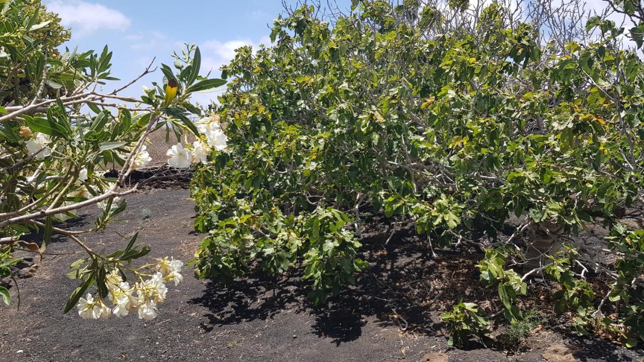 Finca Relax, Sea View, Oasis Vasiliko, La Asomada تياس المظهر الخارجي الصورة