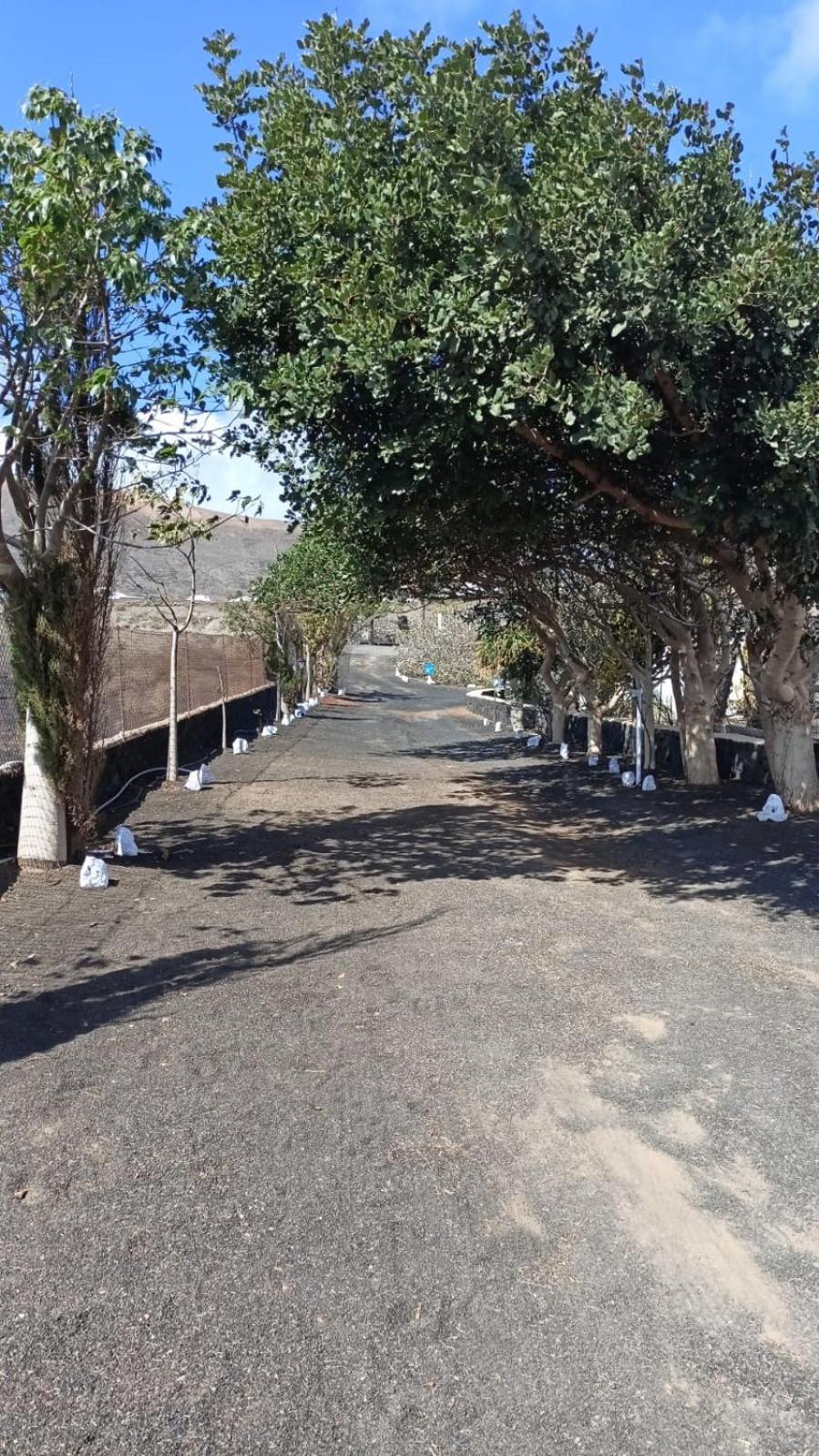 Finca Relax, Sea View, Oasis Vasiliko, La Asomada تياس المظهر الخارجي الصورة